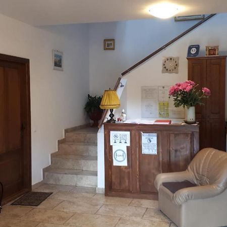 Casa Paduricea Hotel Dezmir Eksteriør billede