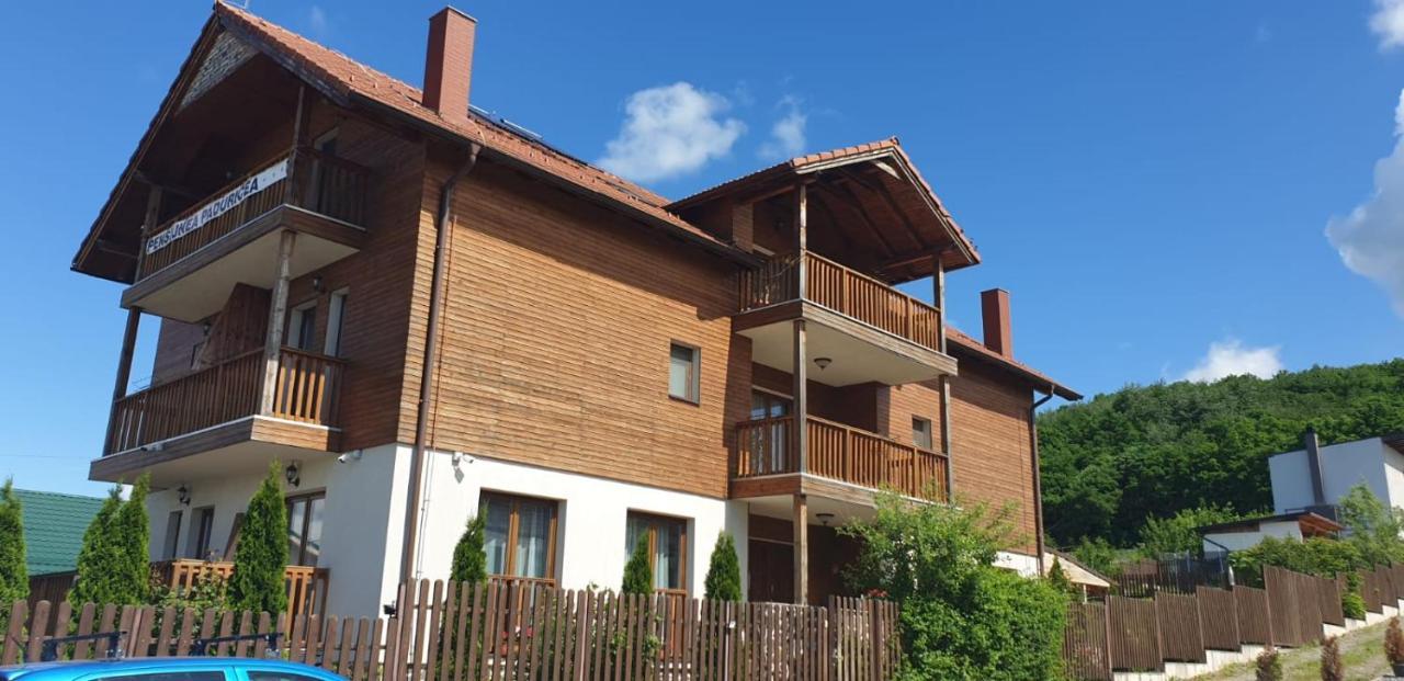 Casa Paduricea Hotel Dezmir Eksteriør billede