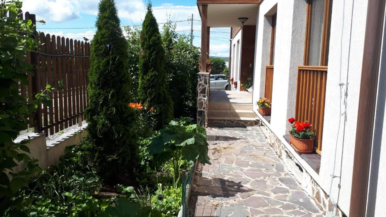 Casa Paduricea Hotel Dezmir Eksteriør billede