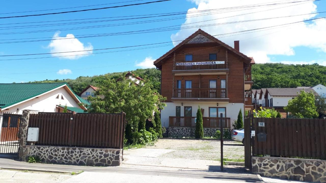 Casa Paduricea Hotel Dezmir Eksteriør billede